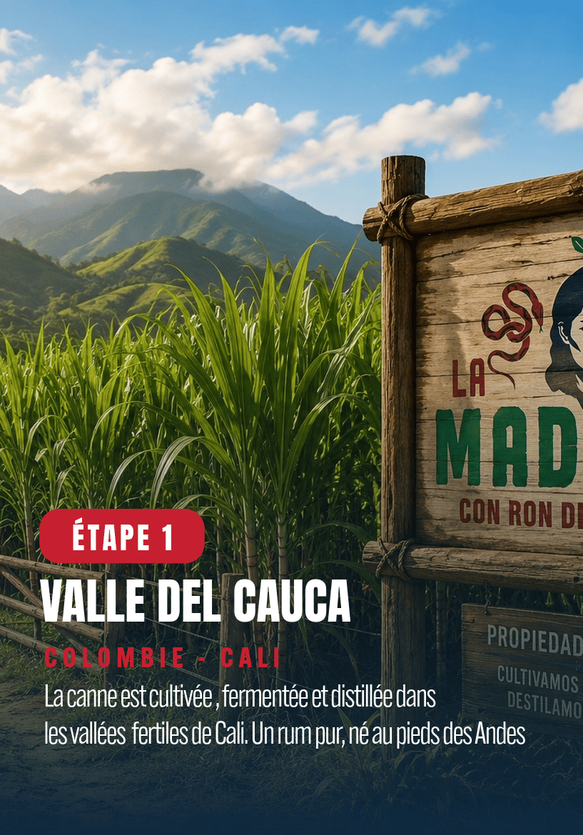madrina-vallee-de-cauca-rum